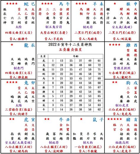 屬豬 2023|【屬豬2023生肖運勢】運勢風生水起，有閃婚可能｜ 